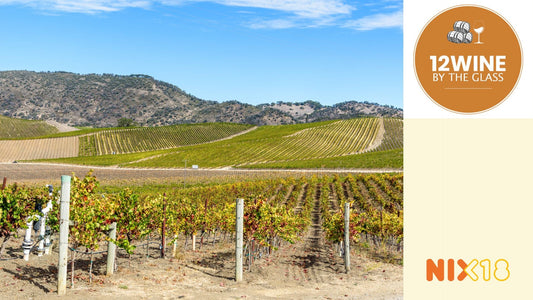 Ontdek de Charme van Panamera Wines: Californische Perfectie in Elke Fles