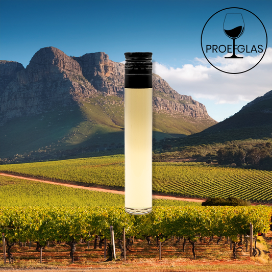 Aotearoa - Sauvignon Blanc - 2023 By the Glass