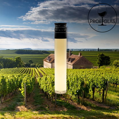 Domaine Jean Collet & Fils - Petit Chablis AC - 2023 By the Glass