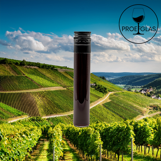 Sebastian Erbeldinger - Spätburgunder/Pinot Noir By the Glass
